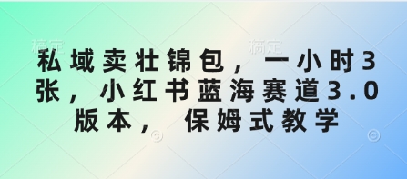 私域卖壮锦包，一小时3张，小红书蓝海赛道3.0版本， 保姆式教学-云创网