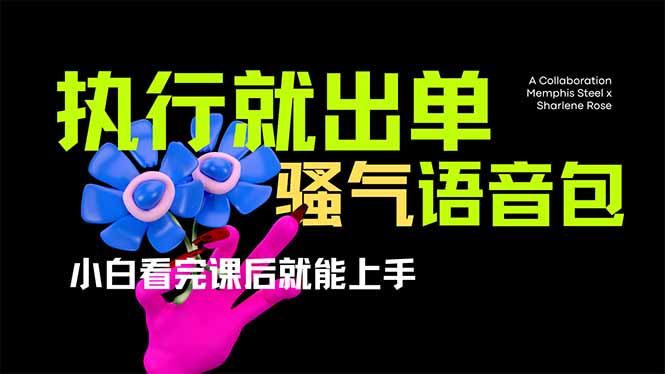 爆火全网的开车导航骚气语音包,只要执行就出单，小白看完课程就能实操…-云创网