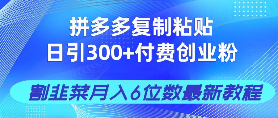 拼多多复制粘贴日引300+付费创业粉，割韭菜月入6位数最新教程！-云创网