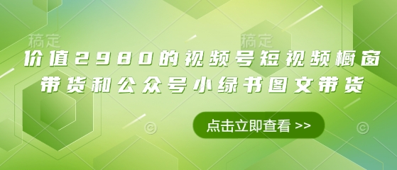 价值2980的视频号短视频橱窗带货和公众号小绿书图文带货-云创网