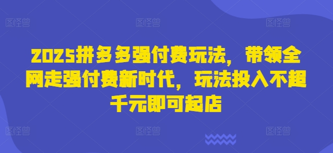 2025拼多多强付费玩法，带领全网走强付费新时代，玩法投入不超千元即可起店-云创网