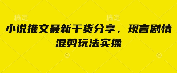 小说推文最新干货分享，现言剧情混剪玩法实操-云创网