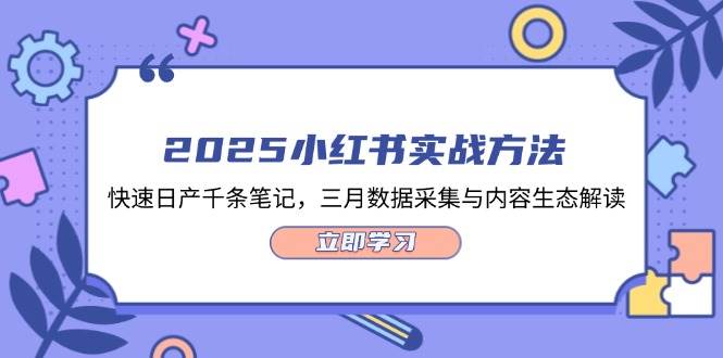 2025小红书实战方法，快速日产千条笔记，三月数据采集与内容生态解读-云创网