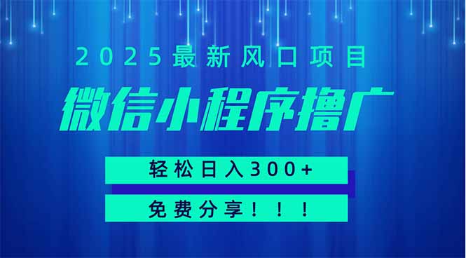 微信小程序撸广，最新风口项目，日入300+ 免费分享 可批量操作 小白可…-云创网