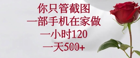 你只管截图，一部手机在家做，苹果安卓都可以，一小时120，一天5张+【揭秘】-云创网