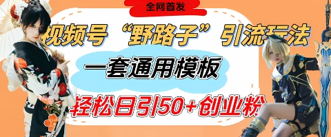 视频号“野路子”玩法，评论区疯狂截流，一套模板单日单号引流50+创业粉-云创网