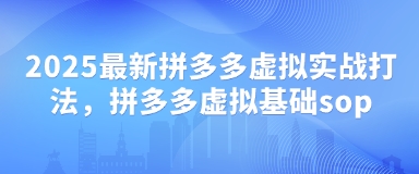 2025最新拼多多虚拟实战打法，拼多多虚拟基础sop-云创网