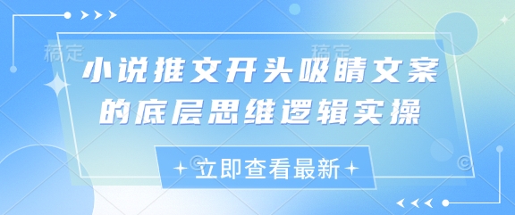 小说推文开头吸睛文案的底层思维逻辑实操-云创网