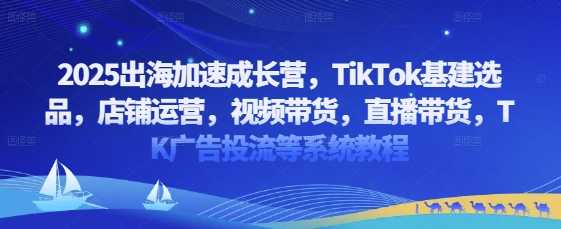 2025出海加速成长营，TikTok基建选品，店铺运营，视频带货，直播带货，TK广告投流等系统教程-云创网