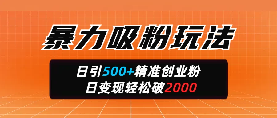 暴力吸粉玩法，日引500+精准创业粉，日变现轻松破2000-云创网
