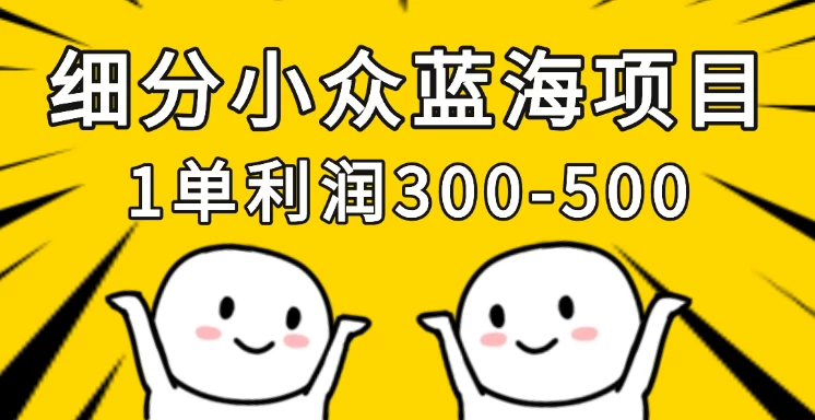 细分小众蓝海项目，一单利润300-500，每月收入稳定4w+-云创网
